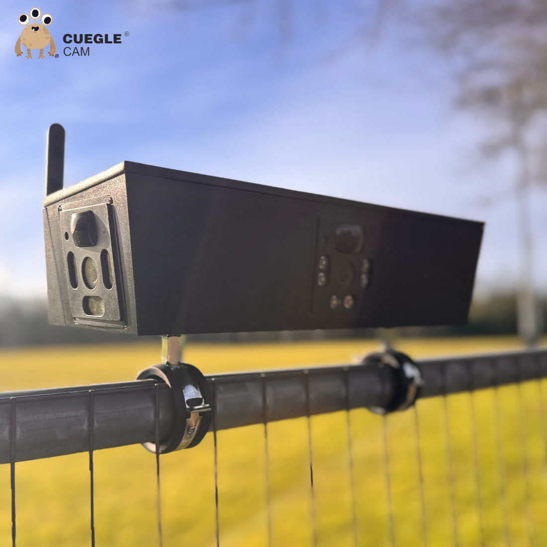 Cuegle®Cam in the field
