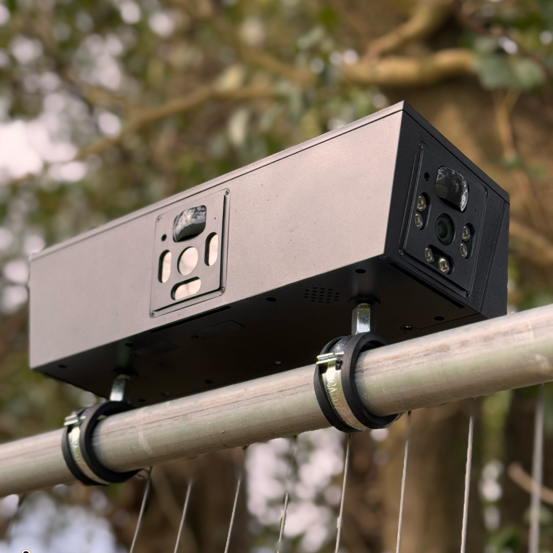 Cuegle®Cam in the field